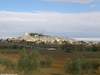 Sarteano - view from olive grove